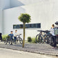Thule Apex XT 5 - Hanging Hitch Bike Rack w/HitchSwitch Tilt-Down (Up to 5 Bikes) - Black