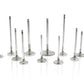 Ferrea Subaru EJ20 32mm 5.96mm 104.75mm 25 Deg Flo Radius Grv Stk 6000 Series Exhaust Valve-Set of 8