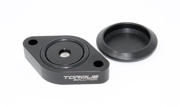 Torque Solution Sound Symposer Delete 2013+ Ford Focus ST