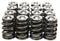 GSC P-D Subaru EJ257 Beehive Valve Spring & Ti Retainer Kit (Use w/OE Spring Seats)